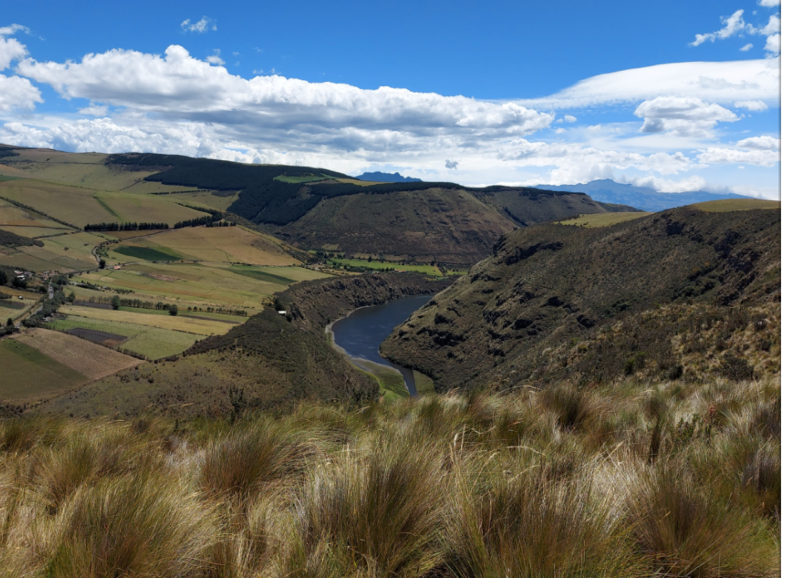 Andes & Andean Condor