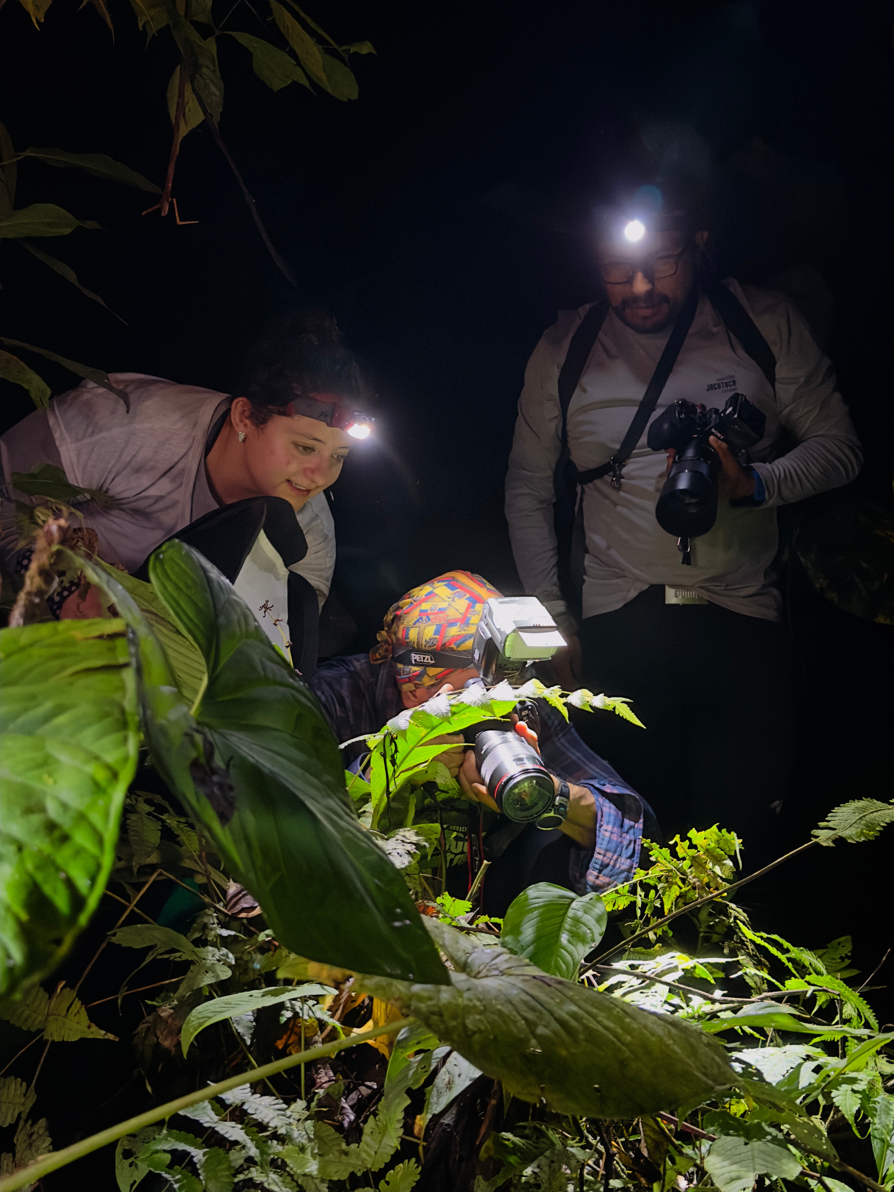 Ecuador Slow: From the Andes to the Sea